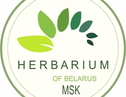 II Международной научно-практической конференции «Ботанические коллекции Беларуси: сохранность, использование и перспективы развития гербариев»