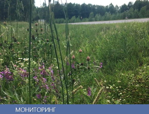 Опубликовано научное издание: Судник, А. В. Мониторинг растительного мира в Беларуси: 25 лет наблюдений