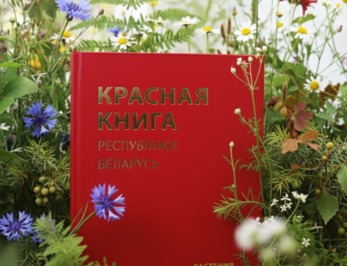 Вышло в свет 5-е издание Красной книги Республики Беларусь: растения