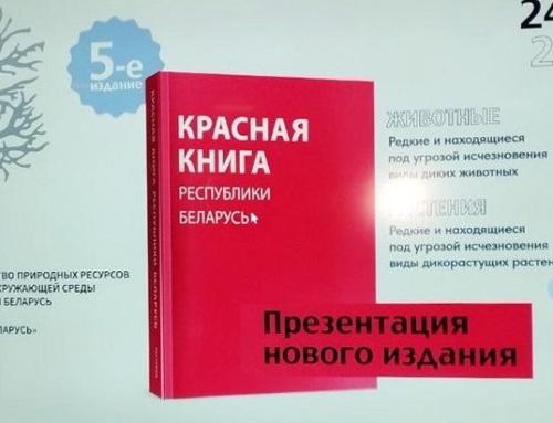 24 декабря в Национальной библиотеке Беларуси состоялась публичная презентация Пятого издания Красной книги Республики Беларусь 